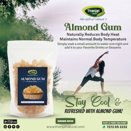 Almond Gum + Sabja Seeds