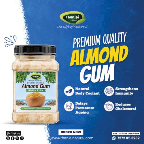 Almond Gum/Badam Pisin (Jar)