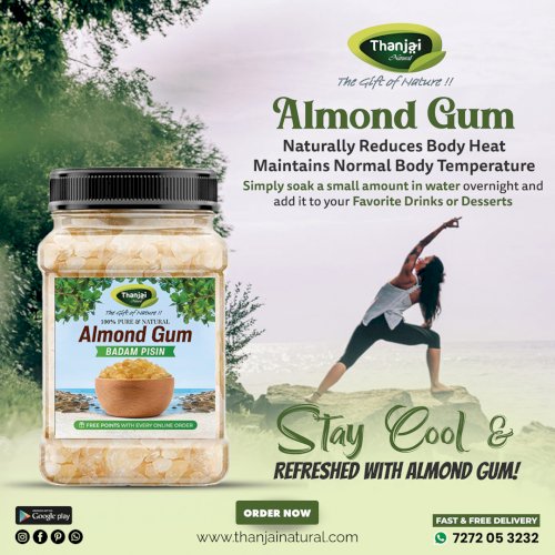 Almond Gum/Badam Pisin (Jar)