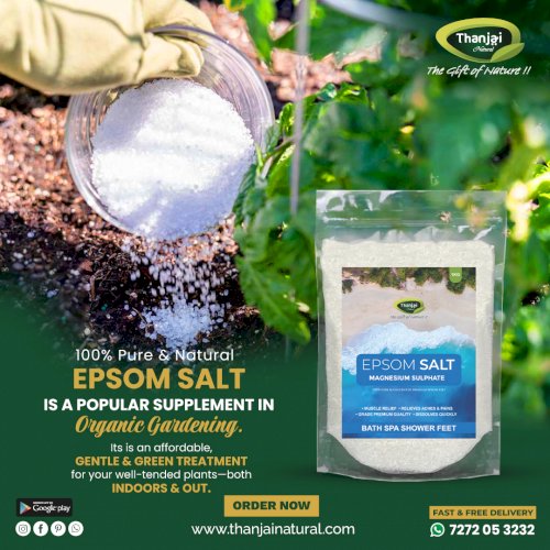 Epsom Salt (Magnesium Sulphate)