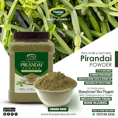 Thanjai Natural Hadjod powder | Asthishrunkala | Pirandai powder