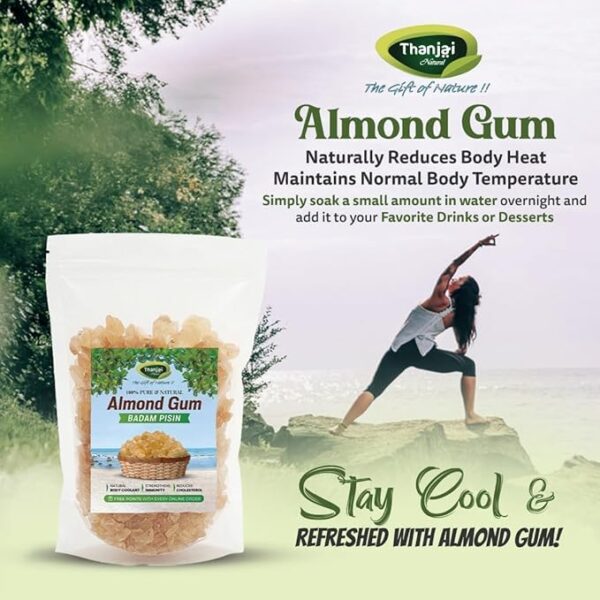 Thanjai Natural Almond Gum (Badam Pisin) – 250g | Gond Katira | Tragacanth Gum | Kathila Gum | Astragalus Gummifer | 100% Pure & Natural | Traditionally Used Ingredient - Image 3