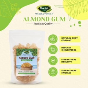 Thanjai Natural Almond Gum (Badam Pisin) – 250g | Gond Katira | Tragacanth Gum | Kathila Gum | Astragalus Gummifer | 100% Pure & Natural | Traditionally Used Ingredient