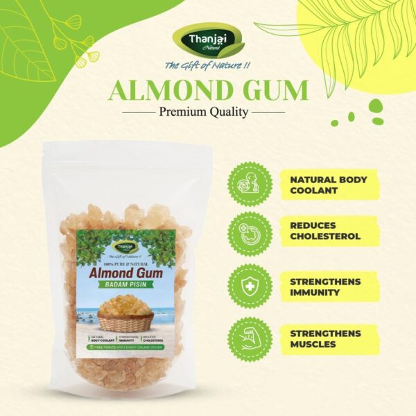 Thanjai Natural Almond Gum (Badam Pisin) – 250g | Gond Katira | Tragacanth Gum | Kathila Gum | Astragalus Gummifer | 100% Pure & Natural | Traditionally Used Ingredient